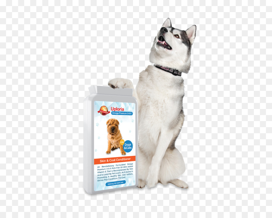 Husky Siberiano，Kishu PNG