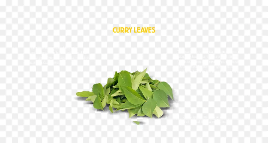 Hojas De Curry，Condimentar PNG