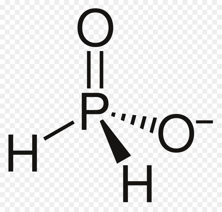 Estructura Química，Molécula PNG