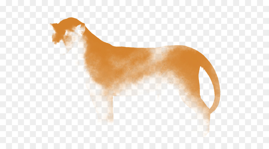 Raza De Perro，Perro De Compañía PNG