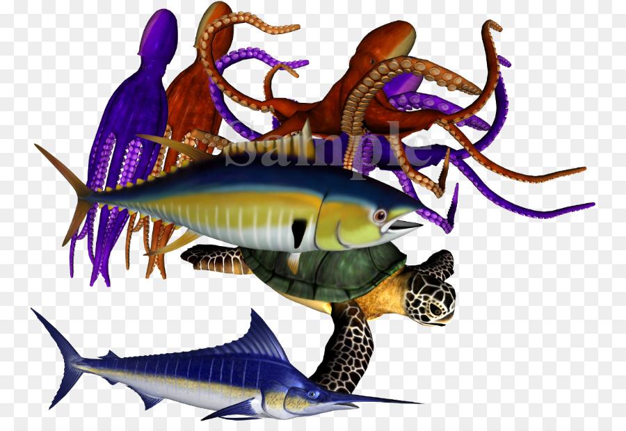 Los Peces óseos，Los Peces PNG