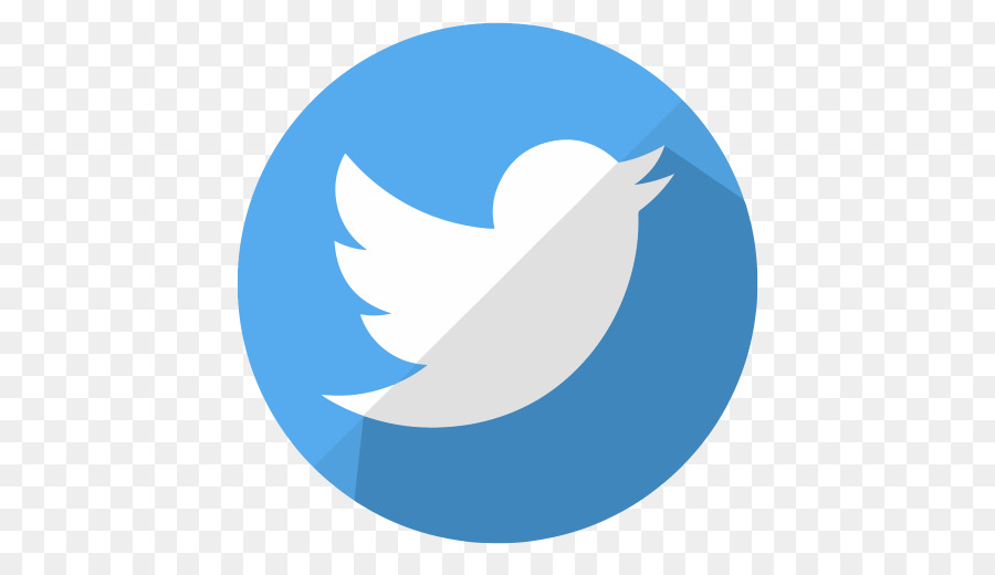 Logotipo De Twitter，Pájaro PNG