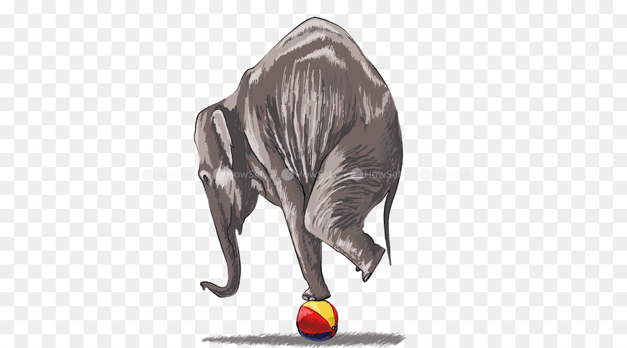 Elefante Indio，El Elefante Africano PNG