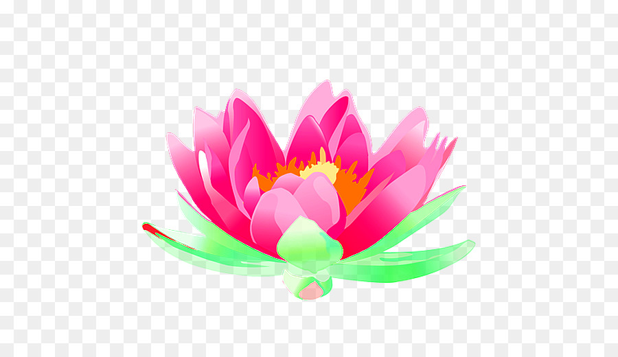 Flores De Loto，Rosa PNG