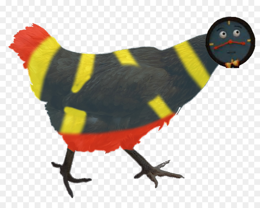 Gallo，El Curado De San André PNG