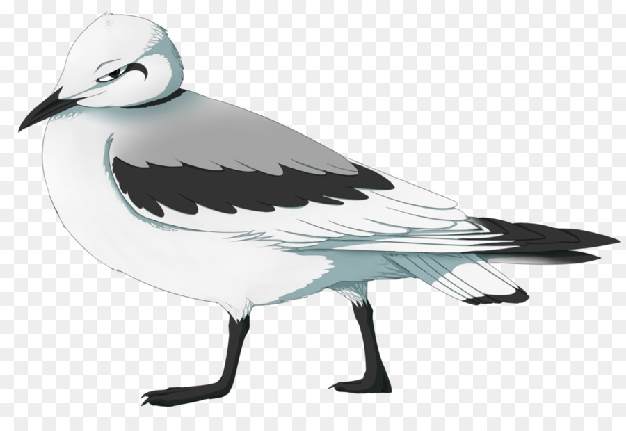 Europea De La Gaviota，Las Gaviotas PNG