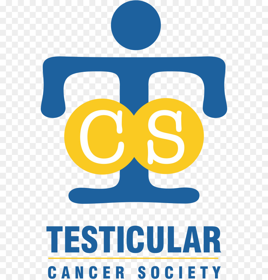 El Cáncer Testicular，La Sociedad Americana Del Cáncer PNG