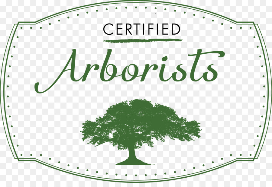 Árbol，Arbolista Certificado PNG