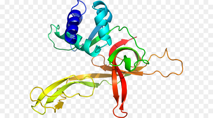 Tallo De La Planta，El Cuerpo De La Joyería PNG