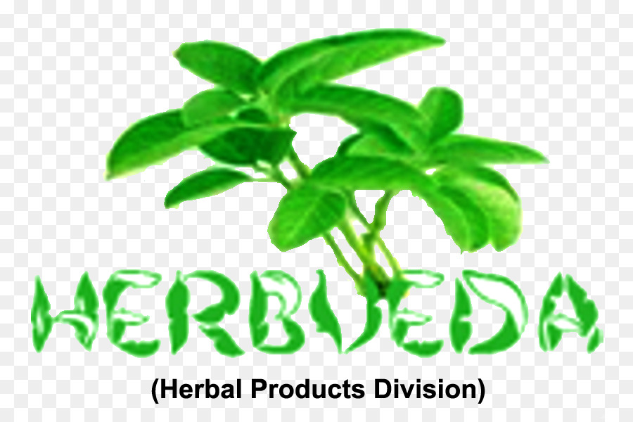 Herbario，Herboristería PNG