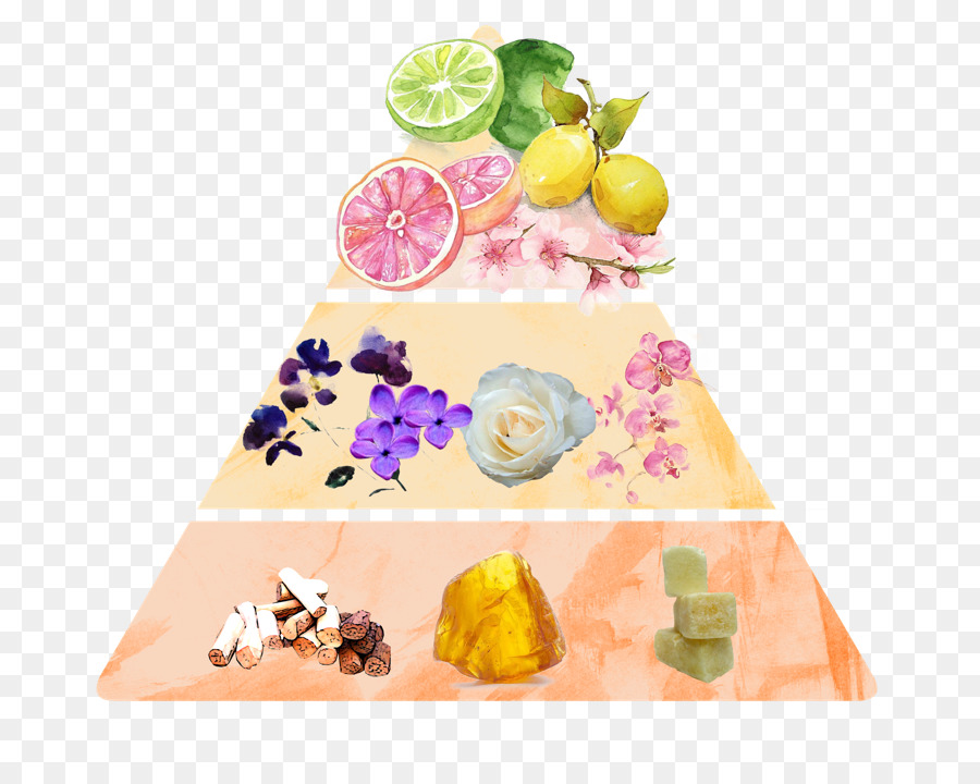 Pirámide De Fragancias，Aroma PNG