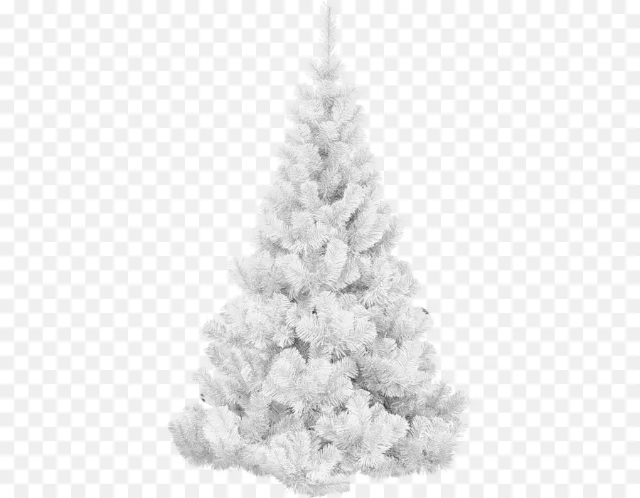 árbol De Navidad Blanco，Día Festivo PNG