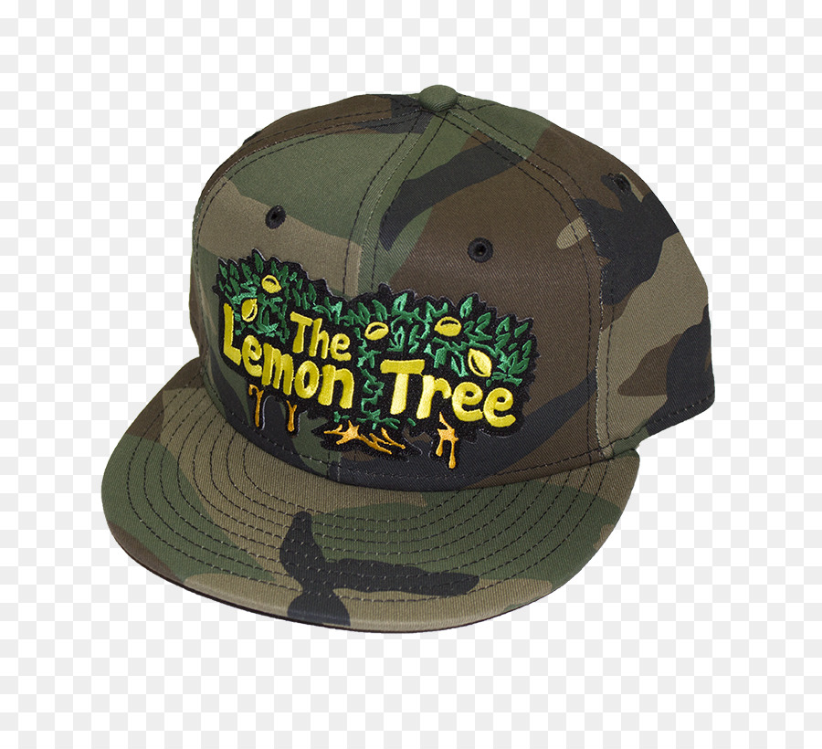 Gorra De Béisbol，Sudadera Con Capucha PNG