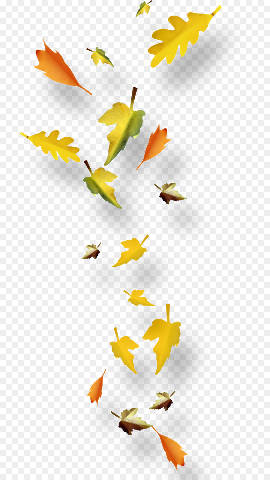 Otoño，Hoja PNG