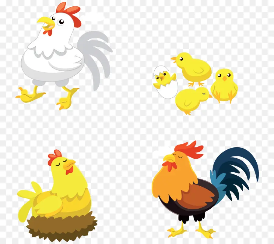 Pollos De Dibujos Animados，Aves PNG