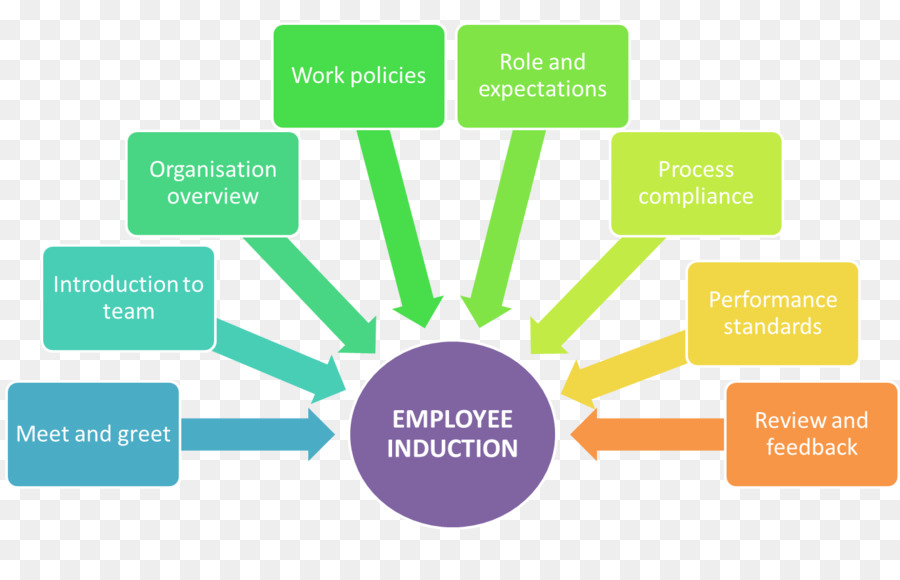 De Recursos Humanos，Programa De Inducción PNG