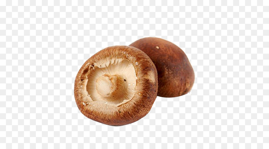 Shiitake，Bote PNG