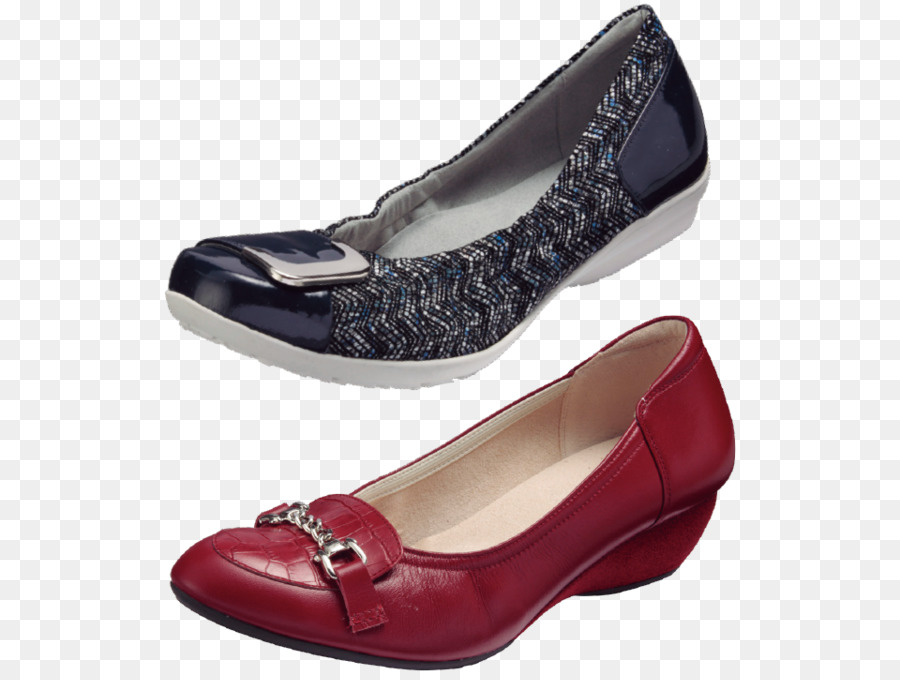 El Ballet Plana，Zapato PNG