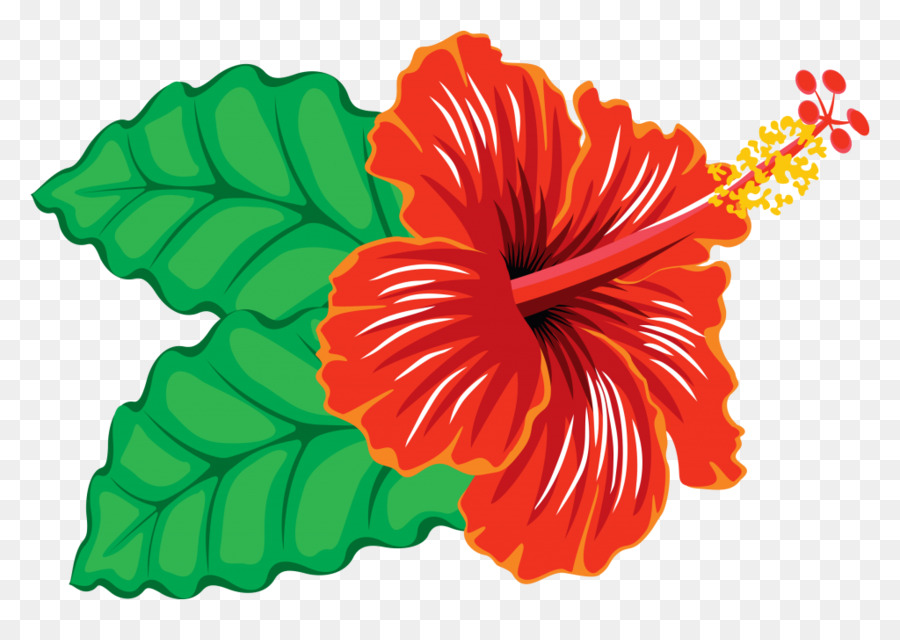 Hibisco Rojo，Hojas Verdes PNG