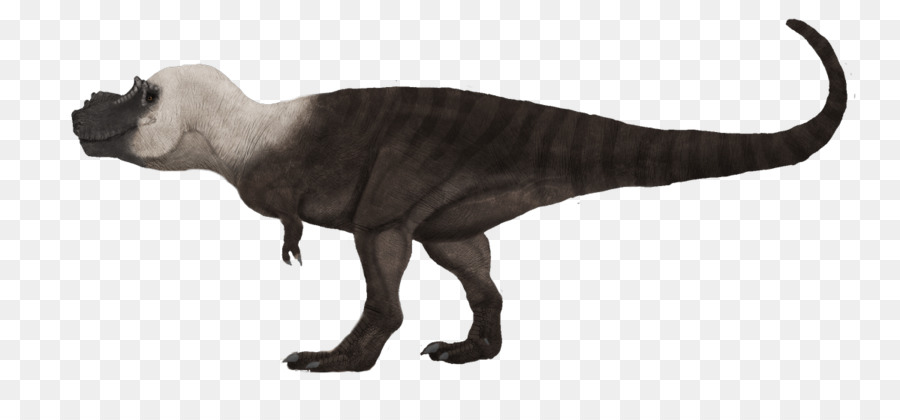 Tyrannosaurus，Velociraptor PNG