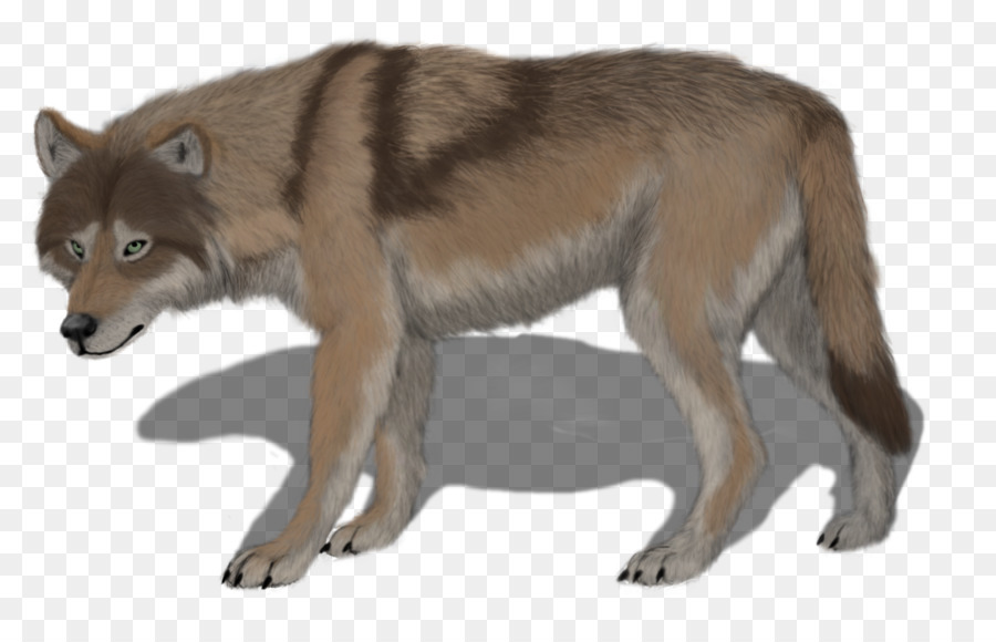 Saarloos Wolfdog，Wolfdog Checoslovaco PNG