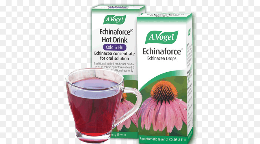 Echinacea Purpurea，Echinaforce PNG