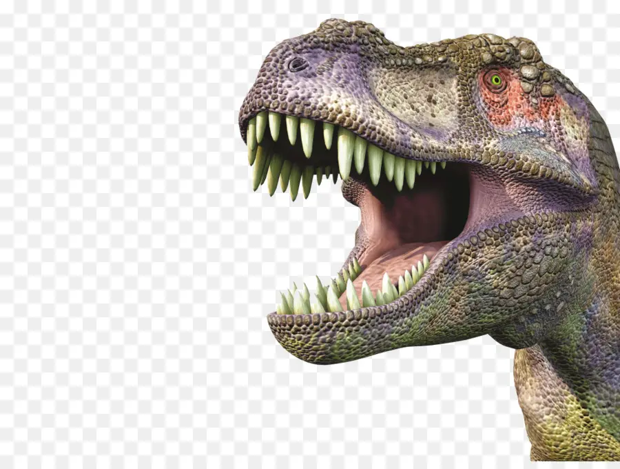Tyrannosaurus，Dinosaurios Y Animales Prehistóricos PNG