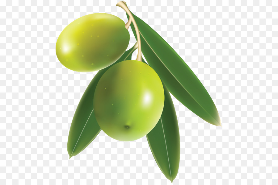 Aceitunas，Fruta PNG