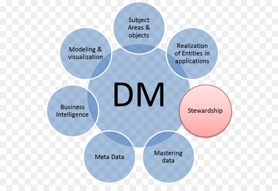 Administrador De Datos，Organización PNG