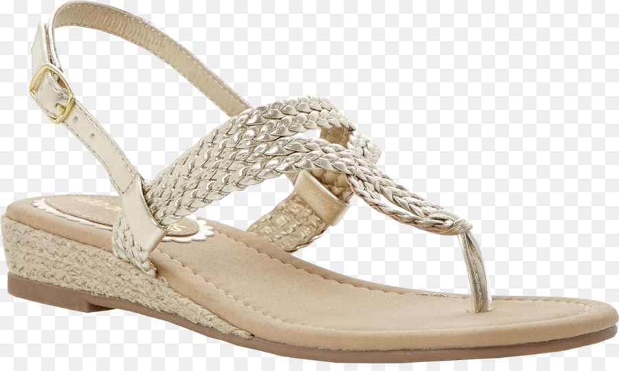 Deslice，Zapato PNG