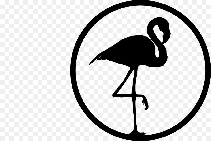Ilustraciones De Animales，Flamingo PNG