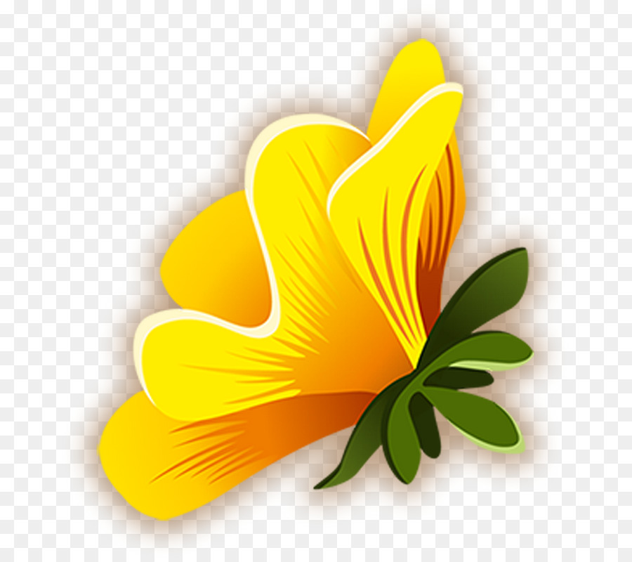 Común De Hibisco，Amarillo PNG