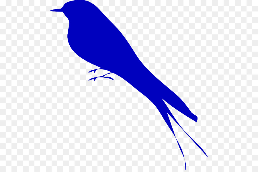 Aves，Azulejos PNG