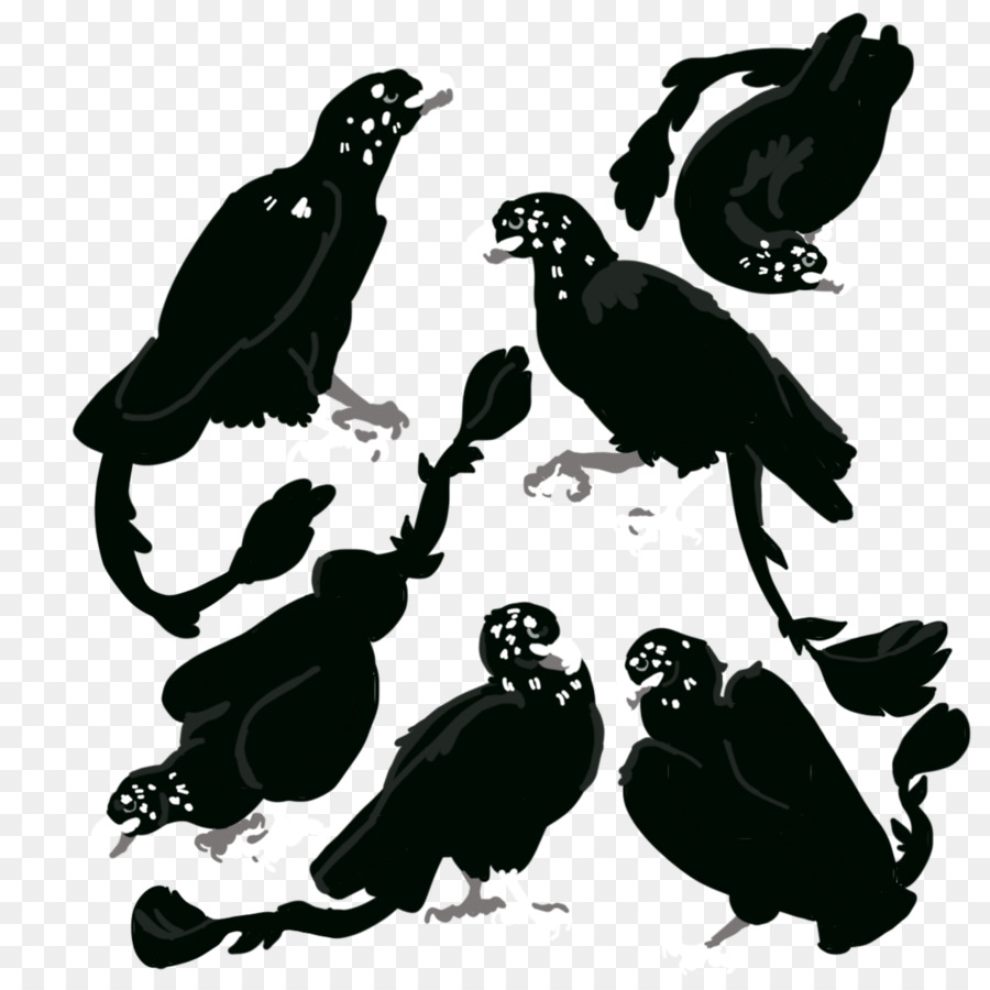 Pico，Aves PNG