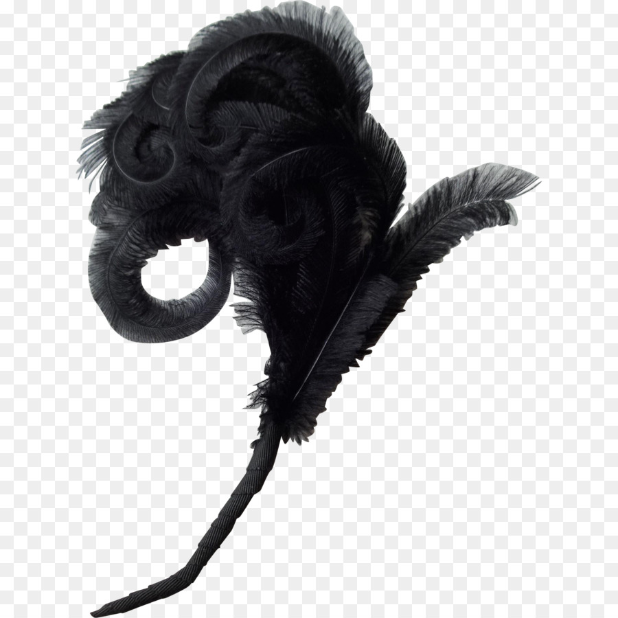 Pluma Negra，Penacho PNG