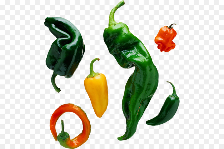 Tabasco Pimienta，Pimiento PNG