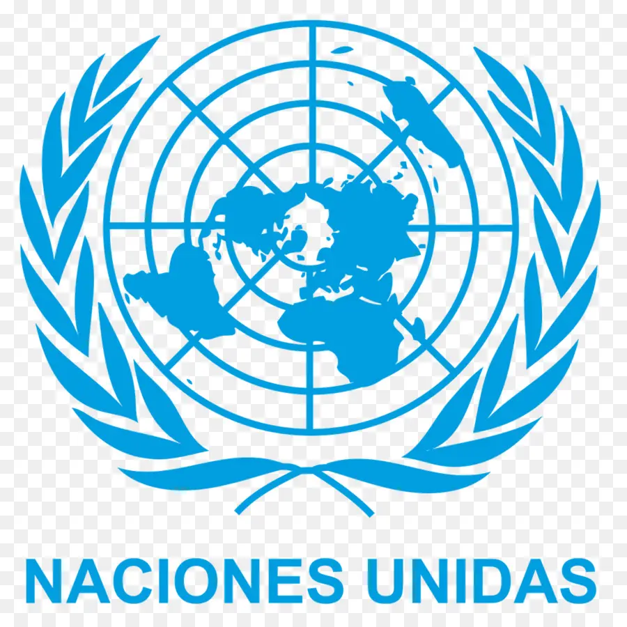 De Las Naciones Unidas，Bandera De Las Naciones Unidas PNG