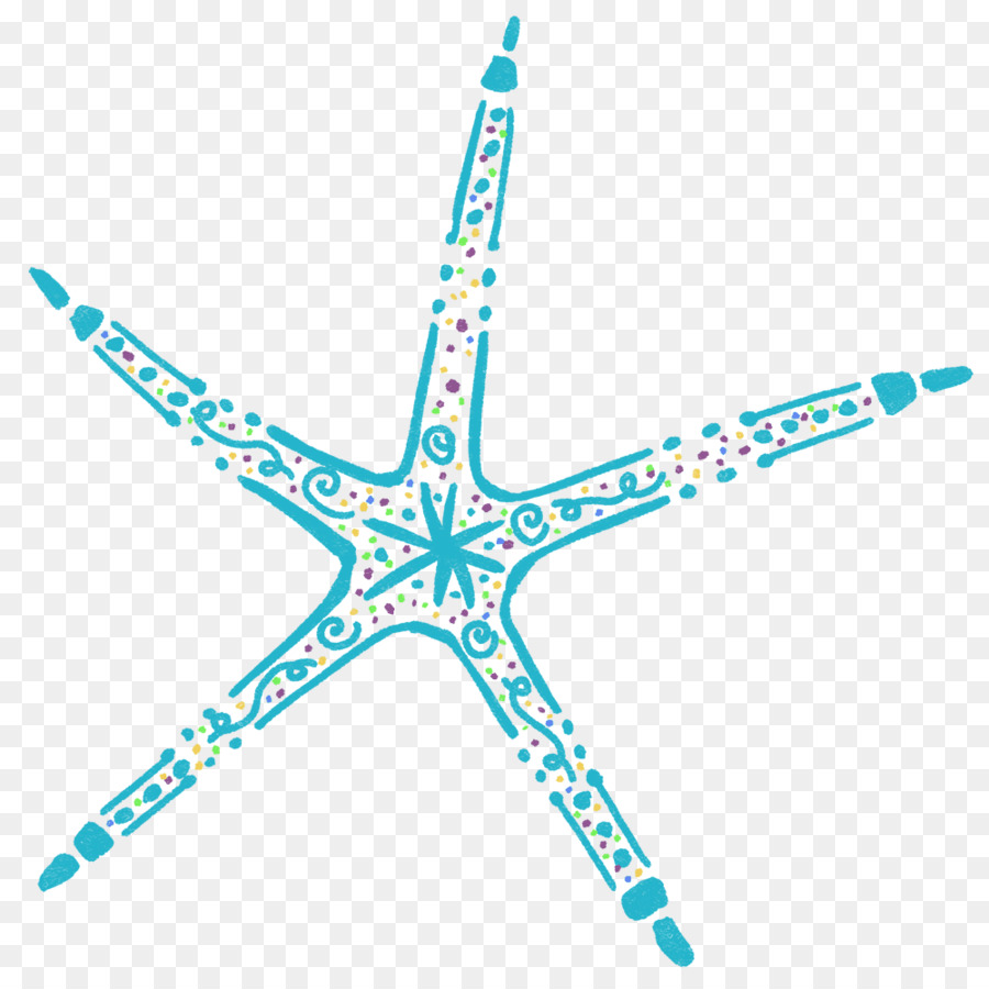 Estrella De Mar，Los Equinodermos PNG