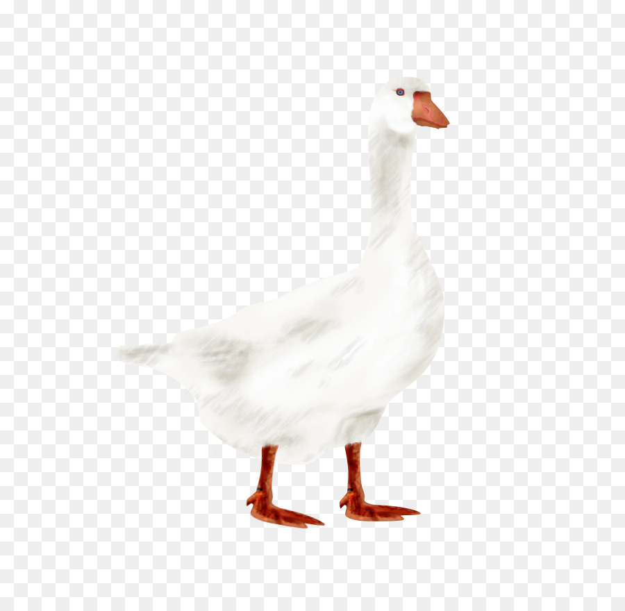 Ganso，Pato PNG