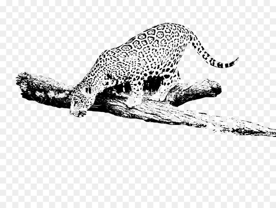 Leopardo，Jaguar Coches PNG