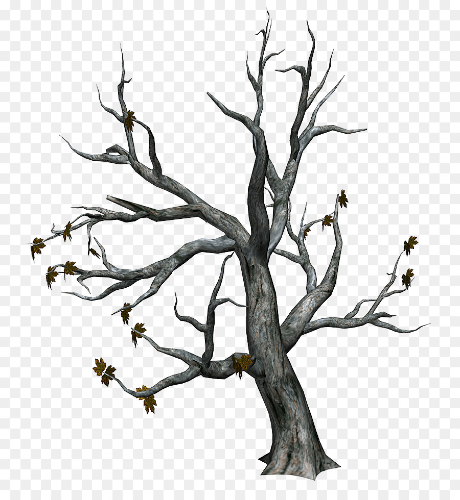 Árbol，Sucursales PNG