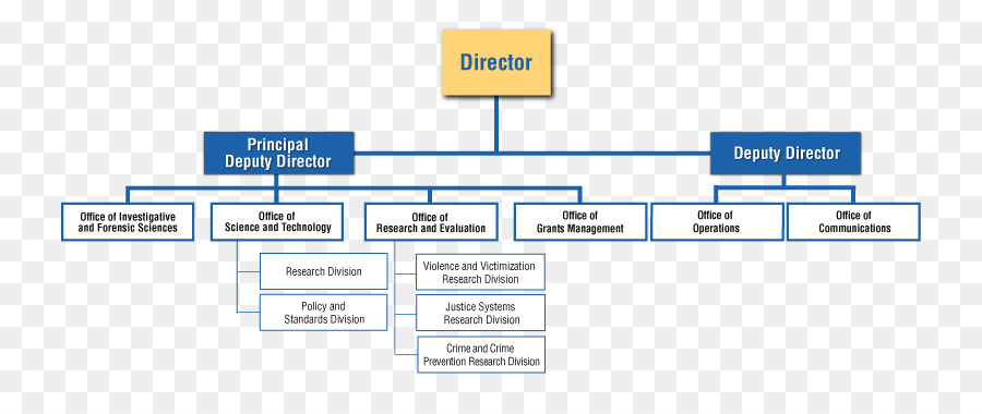 Organigrama，Diagrama De PNG