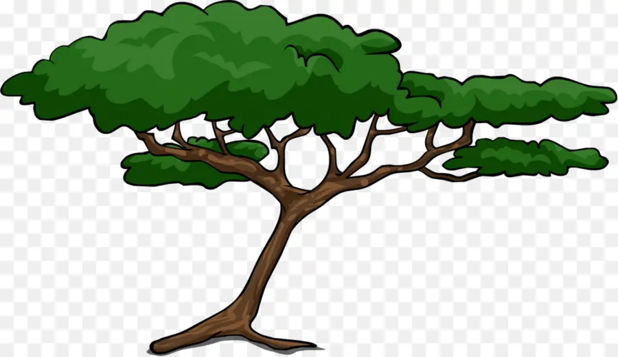 Wattles，Árbol PNG