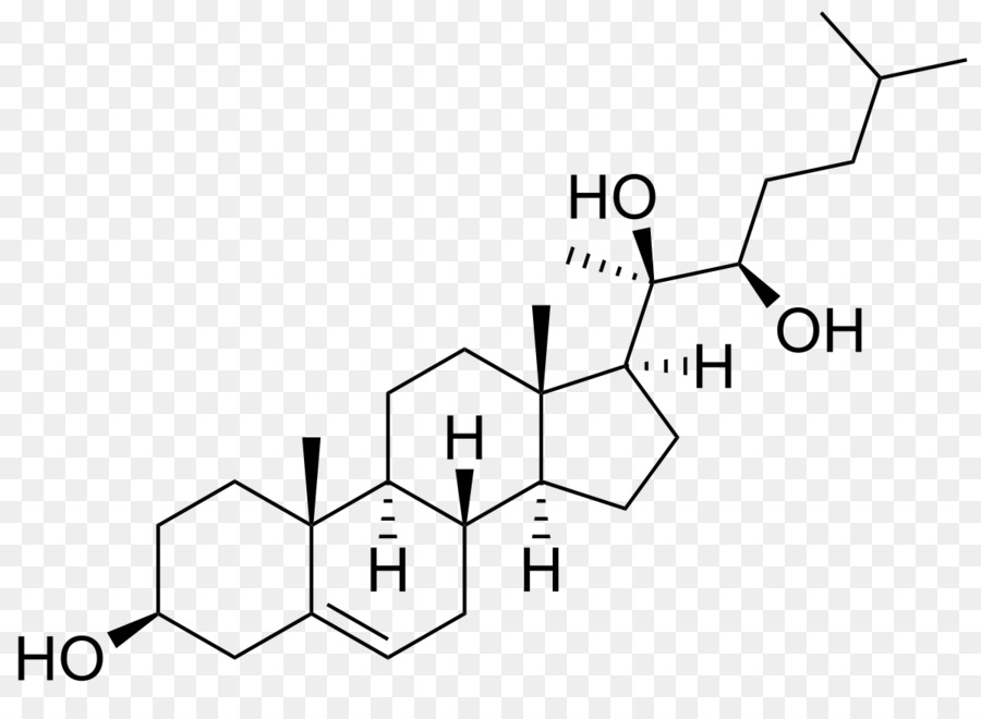 La Prednisona，La Química PNG