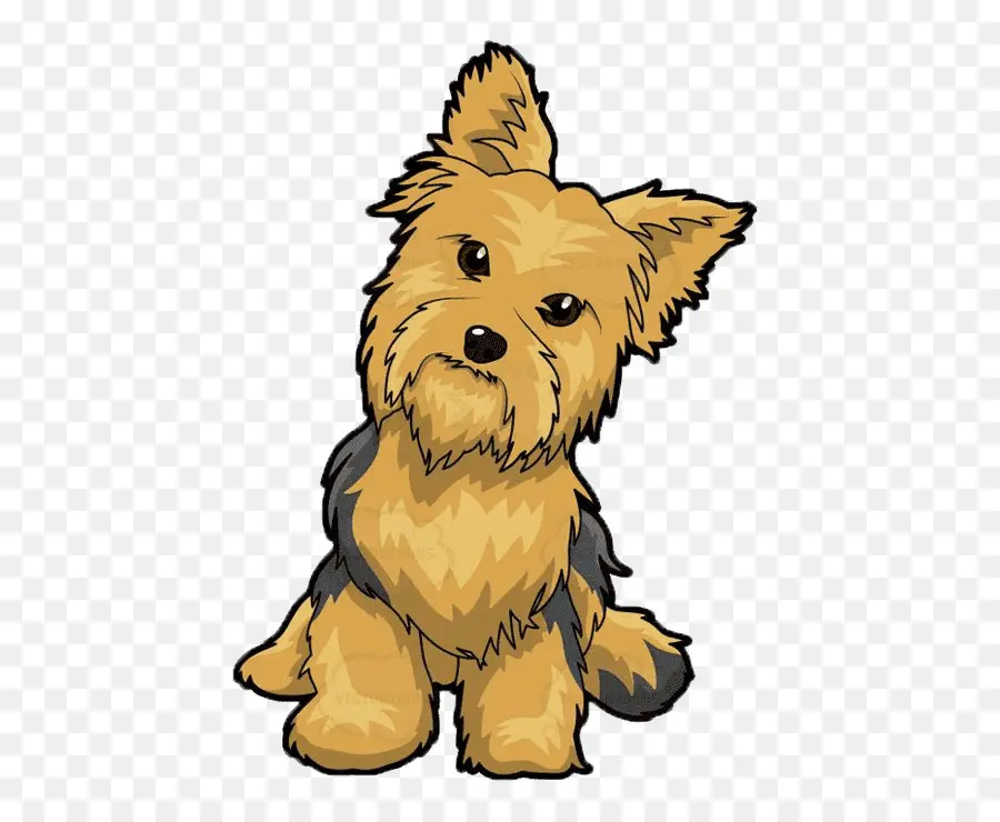 Yorkshire Terrier，Cachorro PNG