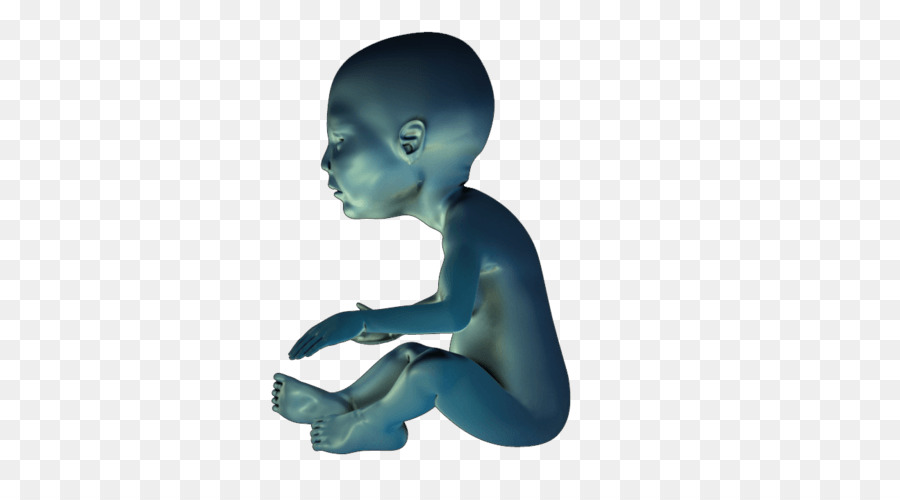 Modelo De Bebé 3d，Bebé PNG