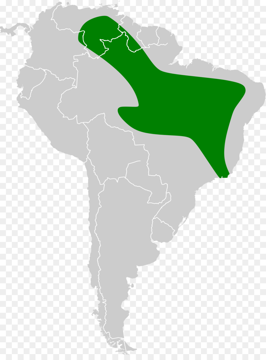 América Del Sur，Bate PNG