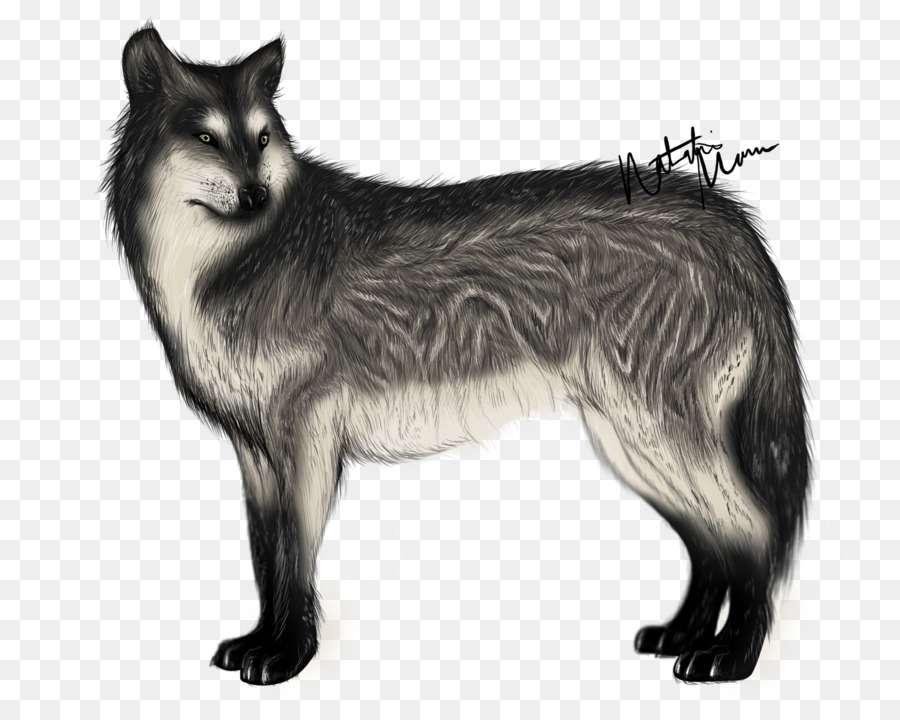 Sakhalin Husky，Native American Indian Perro PNG