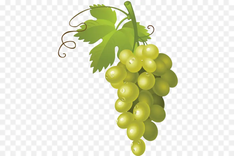 Vino Blanco，Mascate PNG