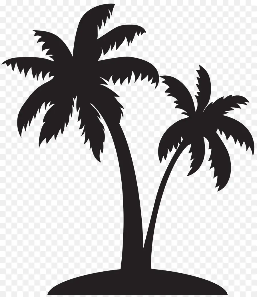 Arecaceae，Silueta PNG